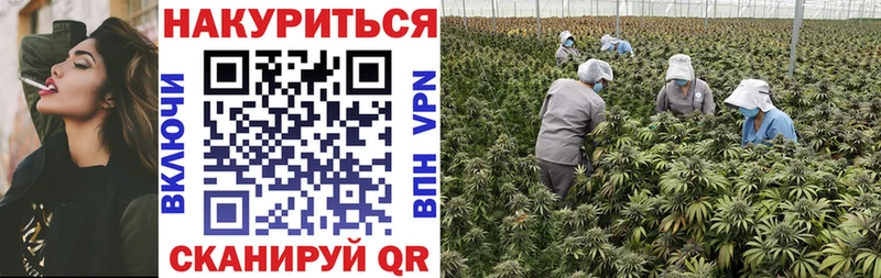 как найти закладки Кувандык Марихуана марихуана